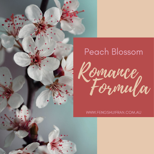 Image of peach blossoms with the words Peach Blossom Romance Formula